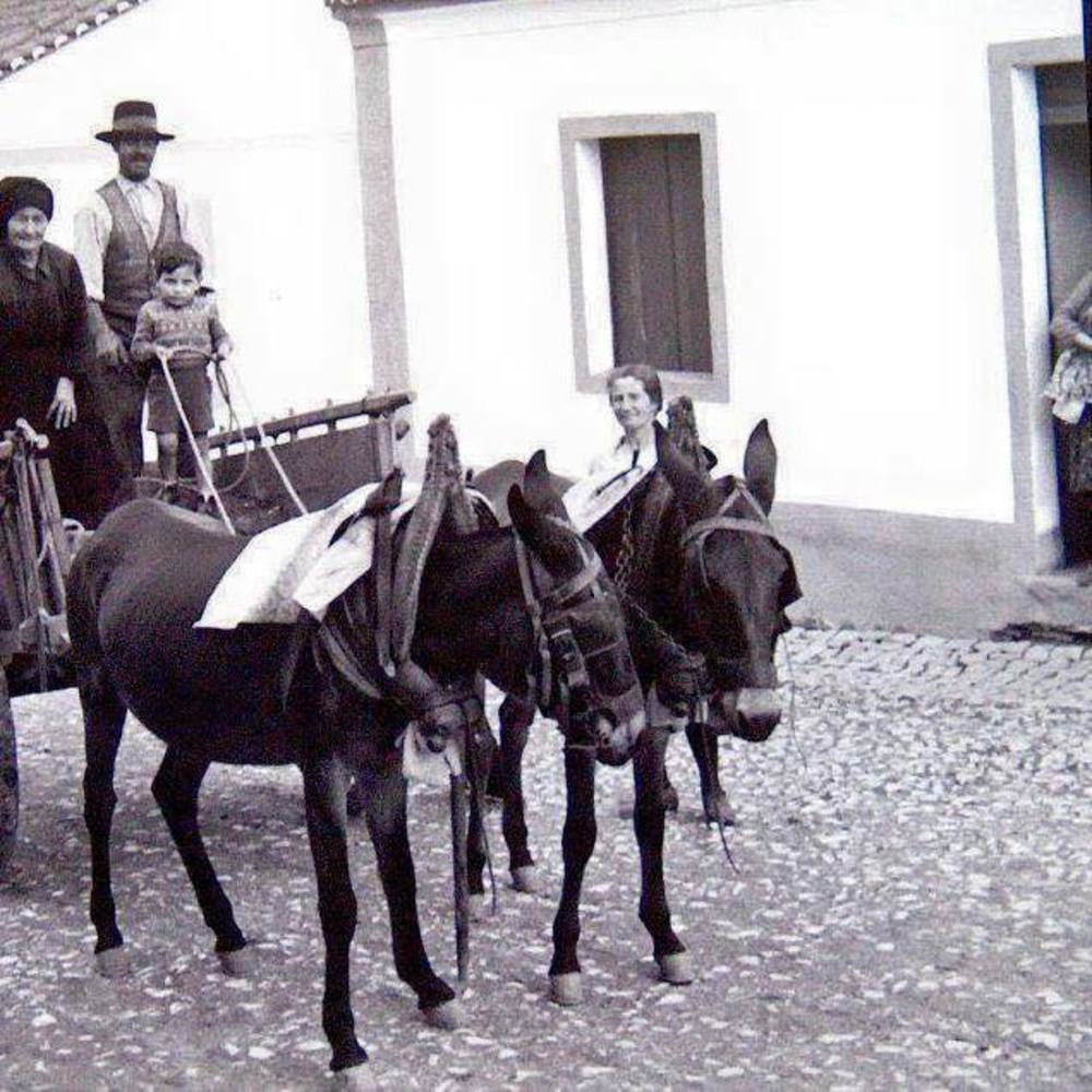 Meet your Posher, Linda